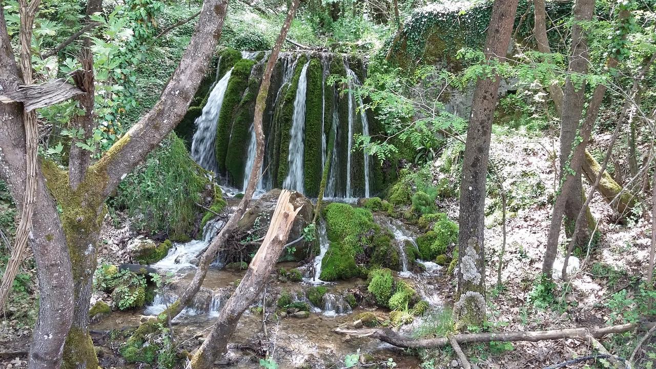 Kedros Chalet Agios Dimitrios  Exteriör bild