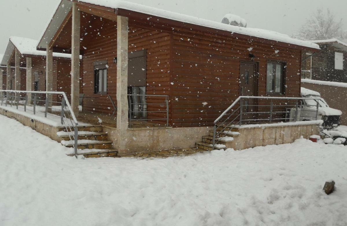 Kedros Chalet Agios Dimitrios  Rum bild