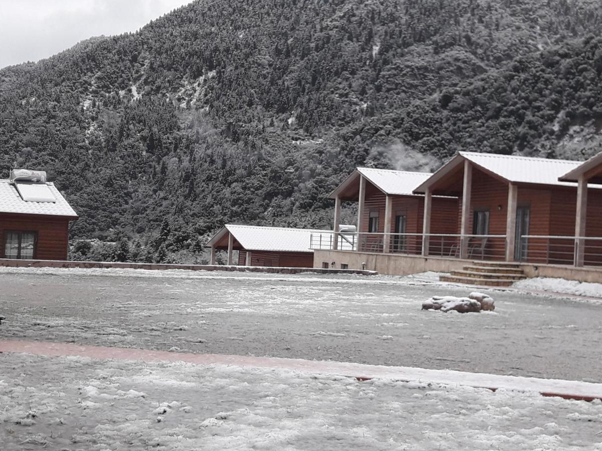 Kedros Chalet Agios Dimitrios  Exteriör bild
